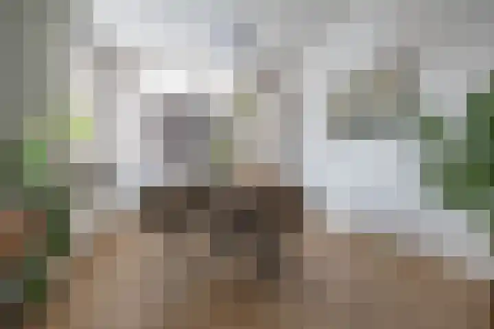 Waldeck-Pyrmontplein 4 b Groningen thumbnail 10