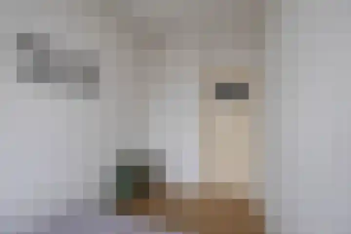 Waldeck-Pyrmontplein 4 b Groningen thumbnail 17