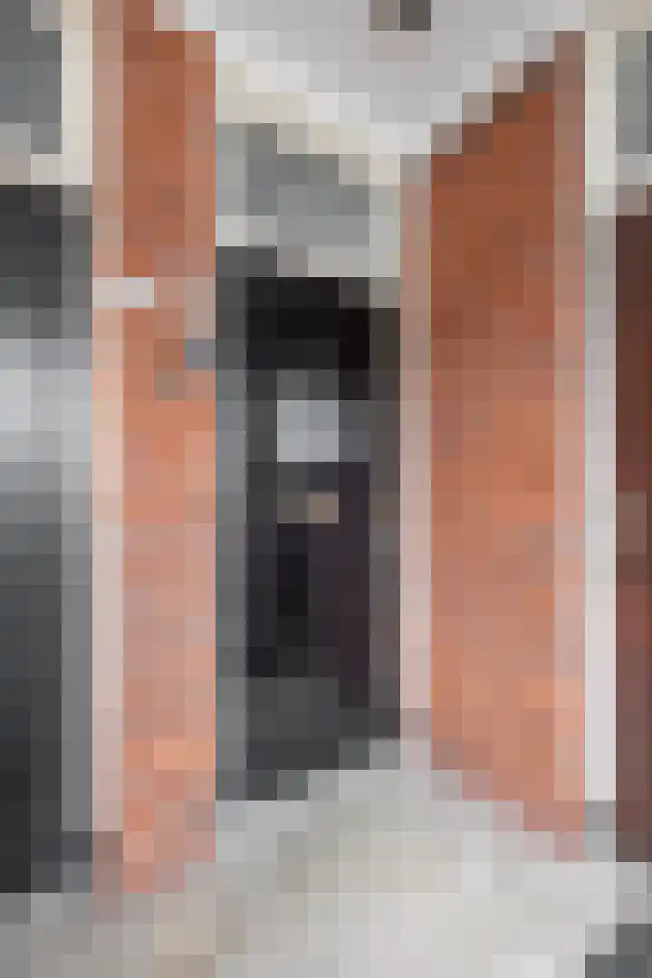 Waldeck-Pyrmontplein 4 b Groningen thumbnail 4