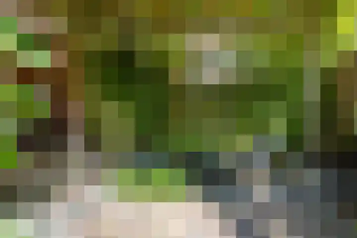 Waldeck-Pyrmontplein 4 Groningen thumbnail 20