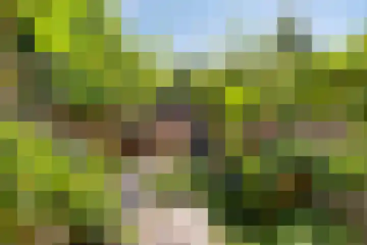 Waldeck-Pyrmontplein 4 Groningen thumbnail 21