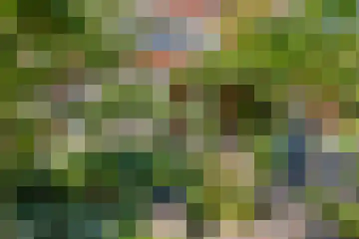 Waldeck-Pyrmontplein 4 Groningen thumbnail 22