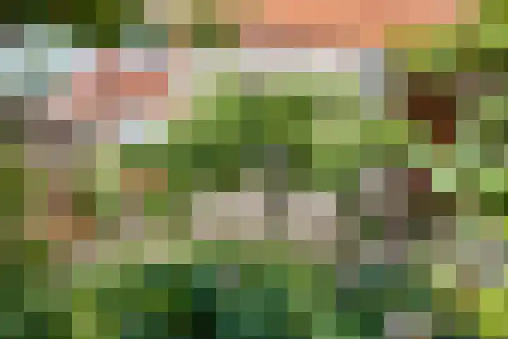 Waldeck-Pyrmontplein 4 Groningen thumbnail 23