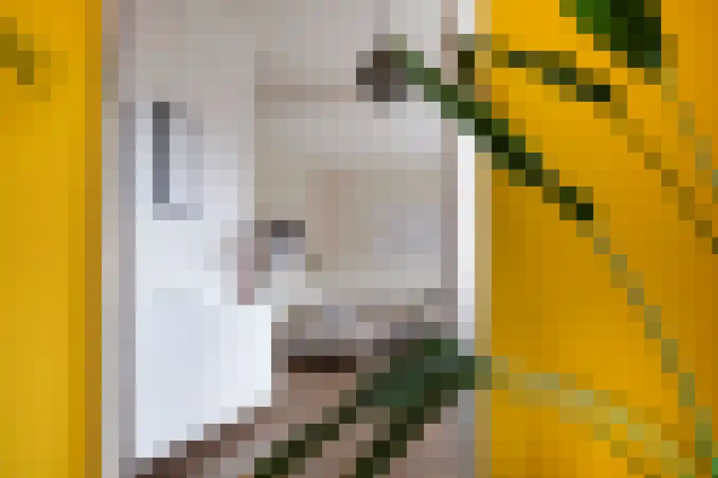 Waldeck-Pyrmontplein 6 b Groningen thumbnail 13