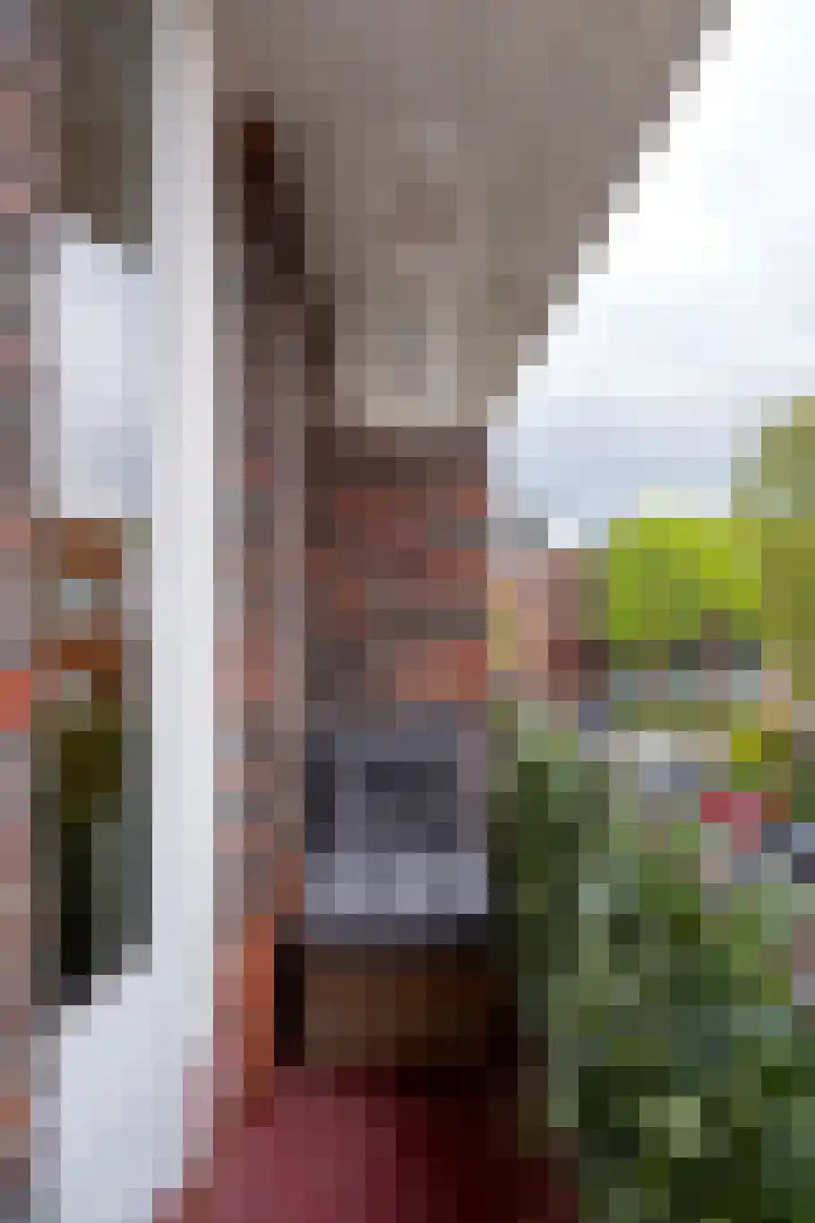 Waldeck-Pyrmontplein 6 b Groningen thumbnail 16