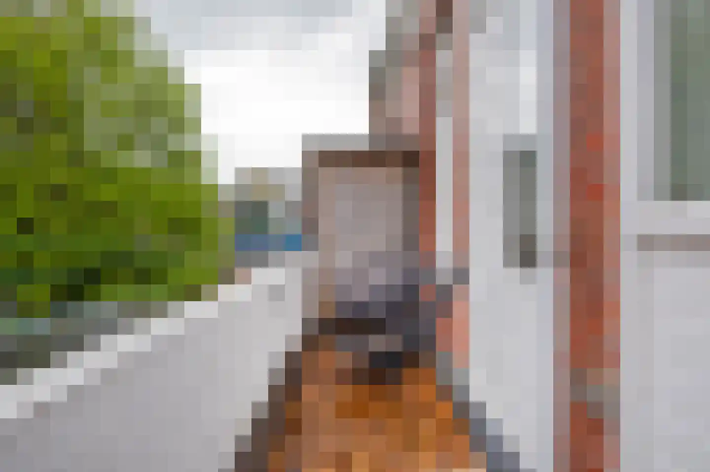 Waldeck-Pyrmontplein 6 b Groningen thumbnail 29