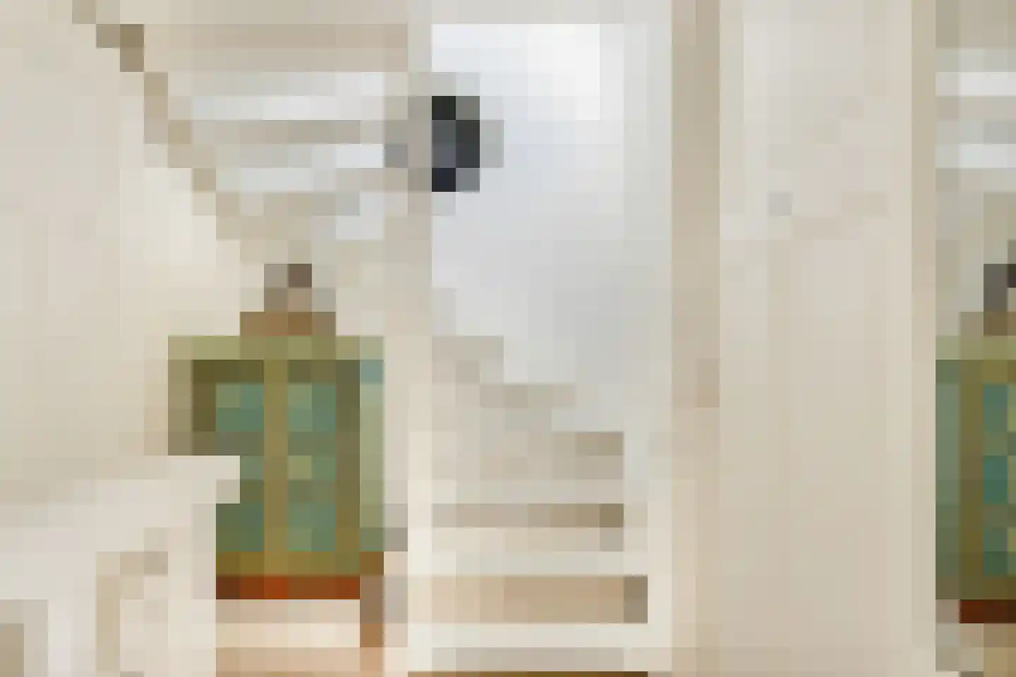 Waldeck Pyrmontstraat 1 Haarlem thumbnail 36