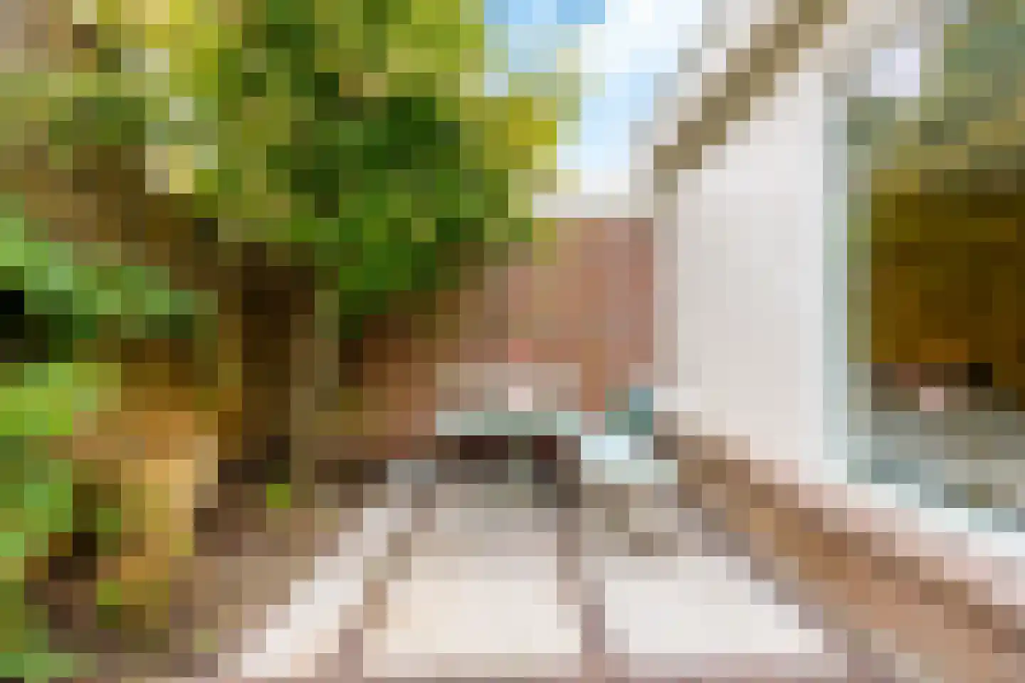 Waldeck Pyrmontstraat 1 Haarlem thumbnail 6