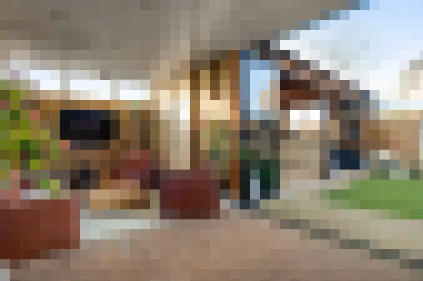 Waldeck Pyrmontstraat 1 Weert thumbnail 4