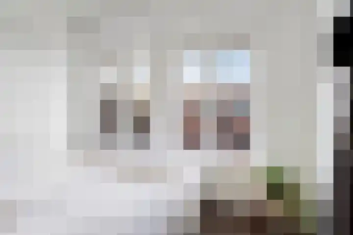 Waldeck-Pyrmontstraat 10 b Groningen thumbnail 25