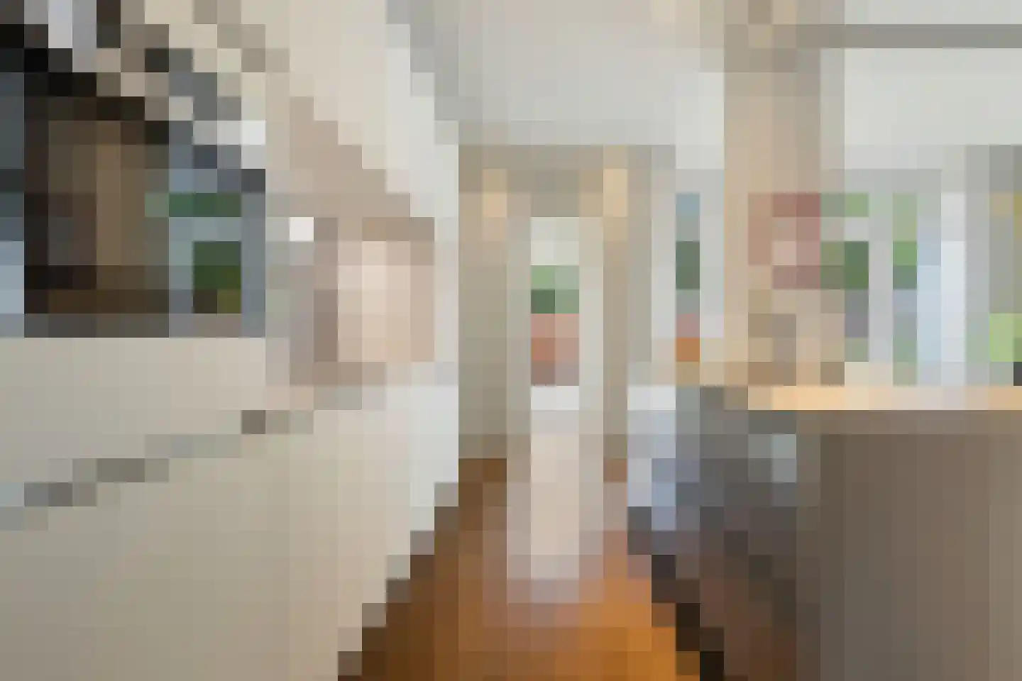 Waldeck Pyrmontstraat 20 Venlo thumbnail 20