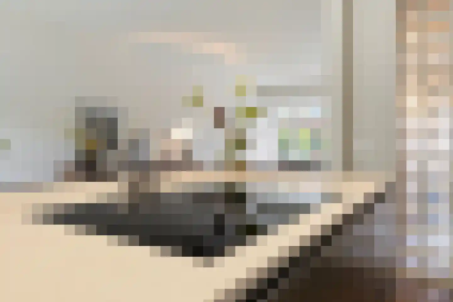 Waldeck Pyrmontstraat 20 Venlo thumbnail 24