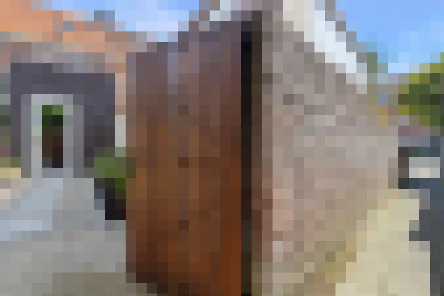 Waldeck Pyrmontstraat 20 Venlo thumbnail 49