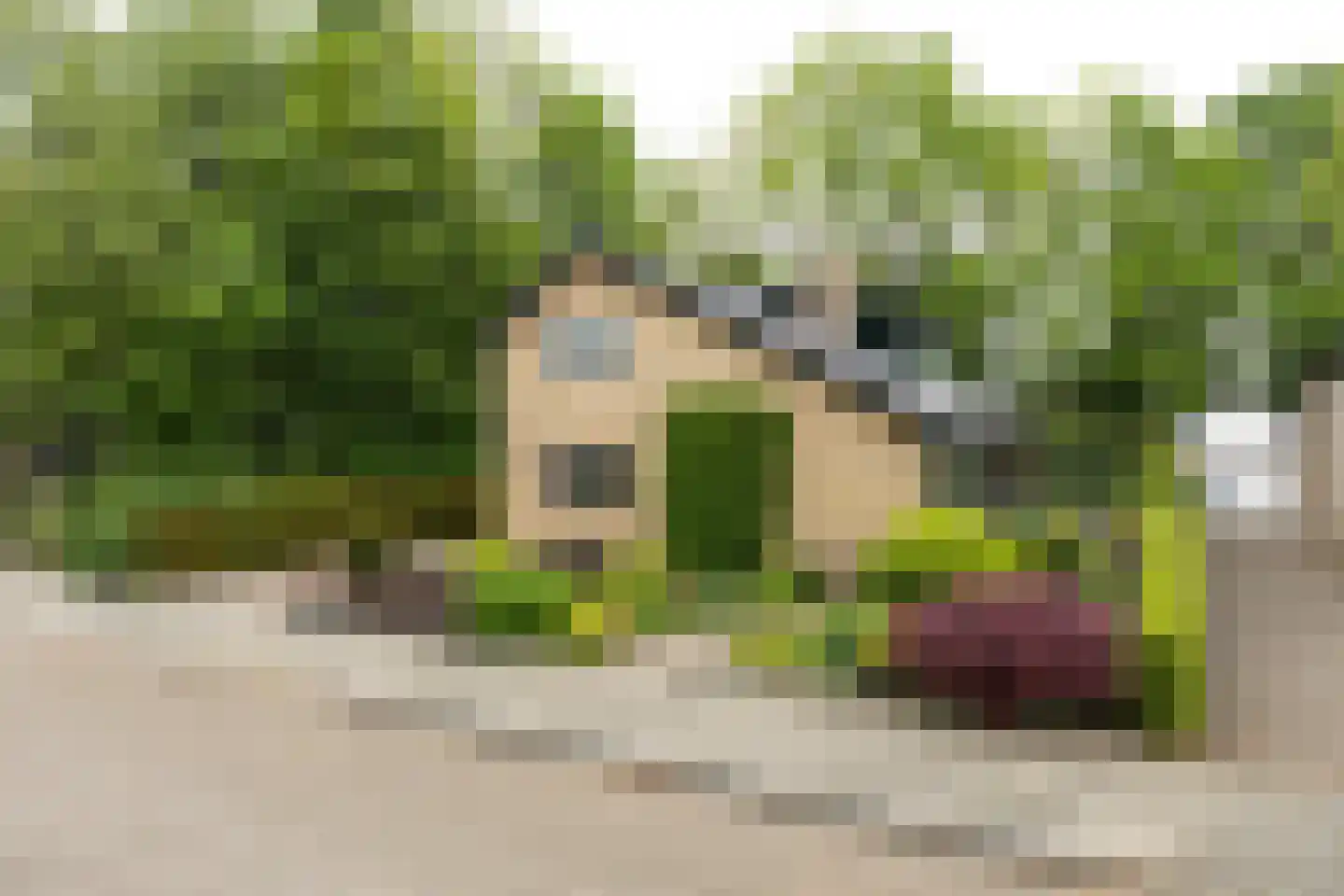Waldeck-Pyrmontstraat 22 Apeldoorn thumbnail 38