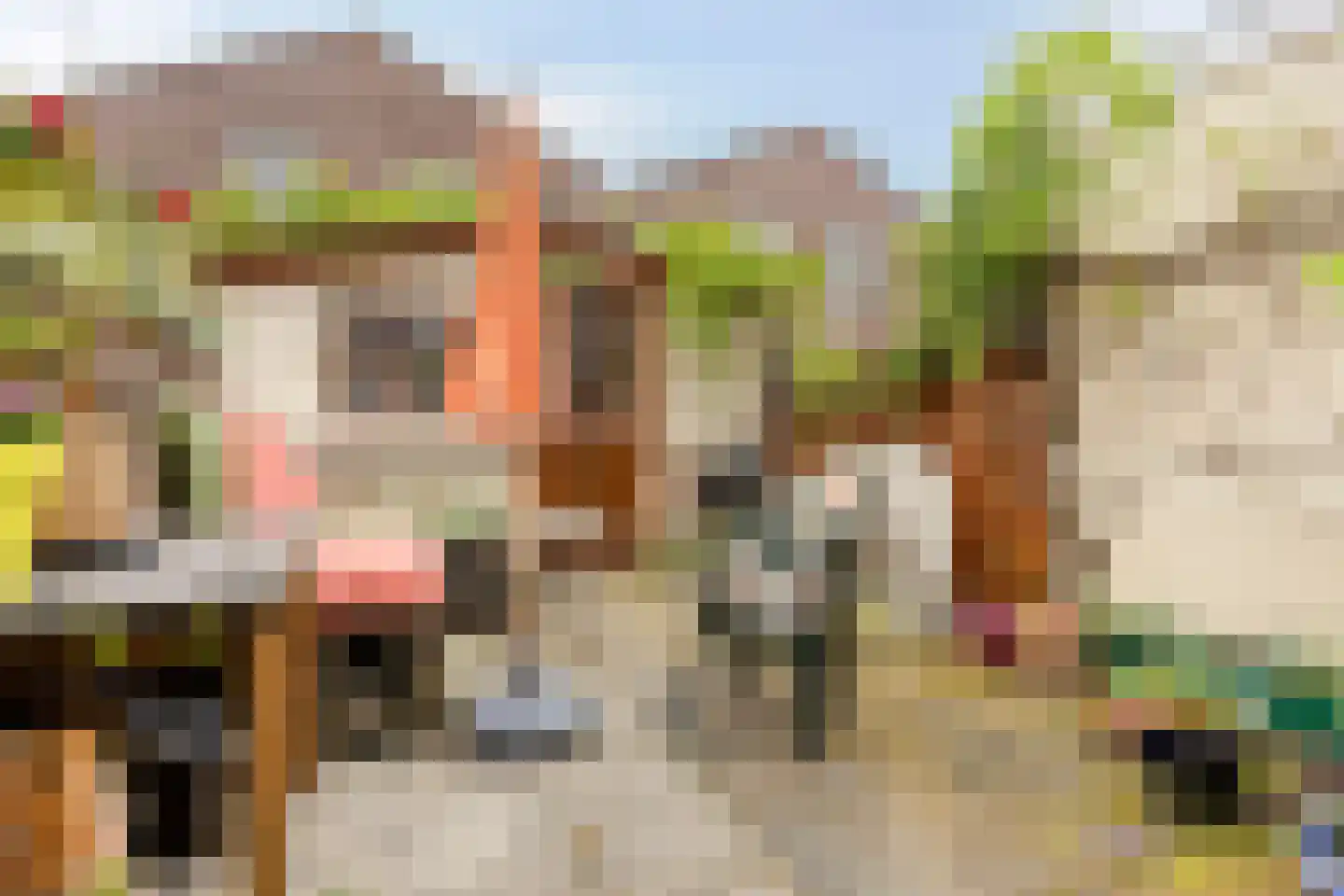 Waldeck Pyrmontstraat 22 Leiden thumbnail 27