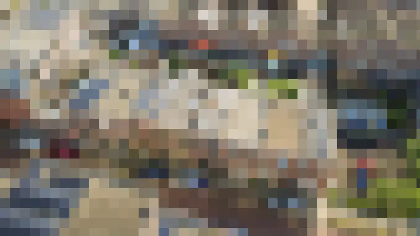 Waldeck Pyrmontstraat 22 Leiden thumbnail 41