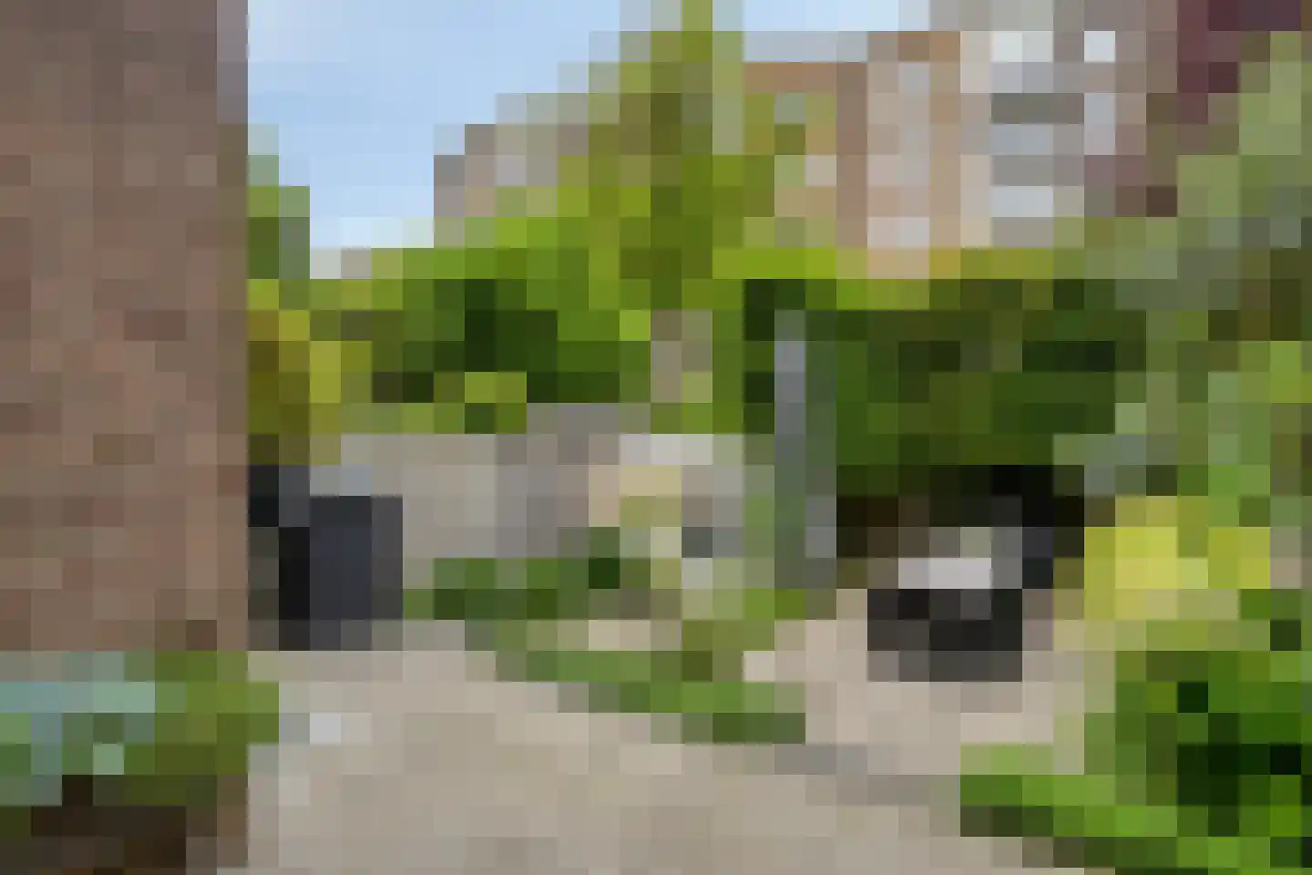 Waldeck Pyrmontstraat 36 Maastricht thumbnail 17