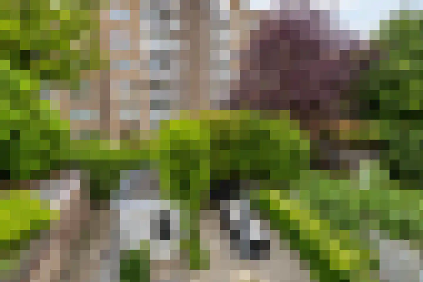 Waldeck Pyrmontstraat 36 Maastricht thumbnail 19