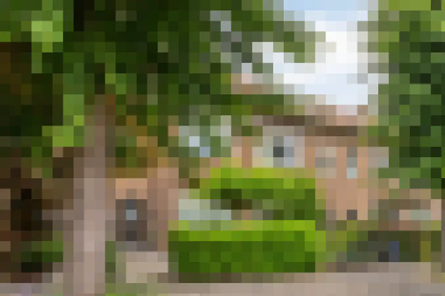 Waldeck Pyrmontstraat 36 Maastricht thumbnail 46