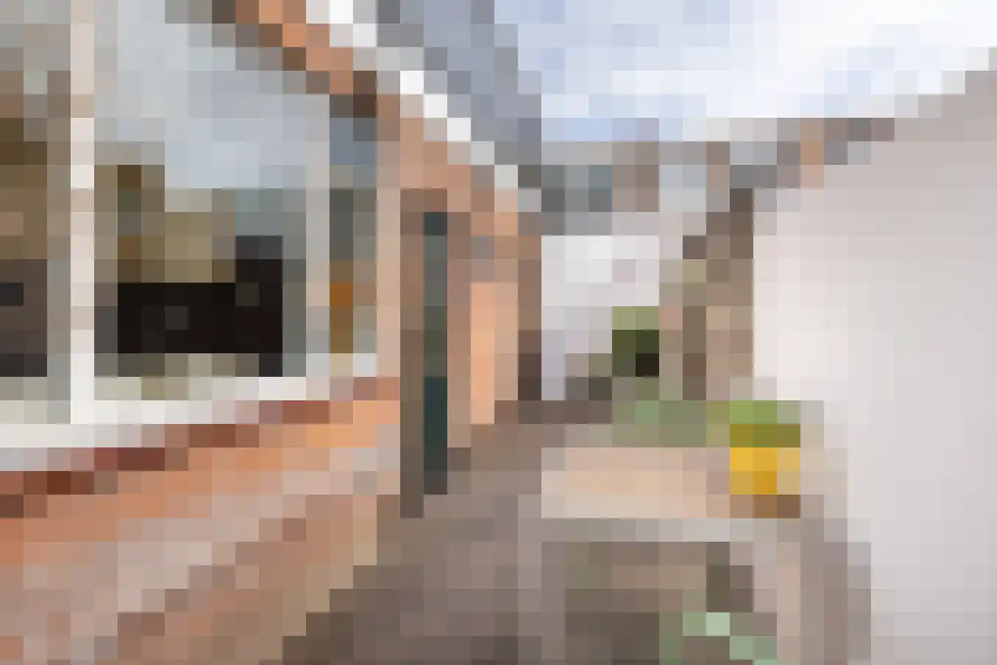 Waldeck Pyrmontstraat 46 Leiden thumbnail 21