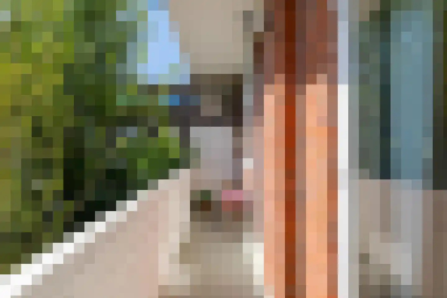 Waldeck-Pyrmontstraat 7 a Groningen thumbnail 13