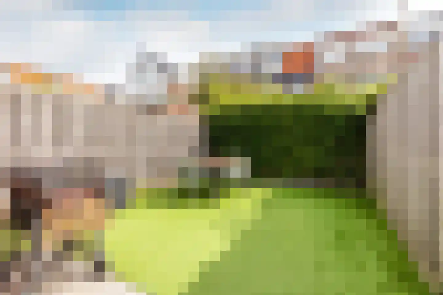 Waldeck Pyrmontstraat 7 Haarlem thumbnail 16