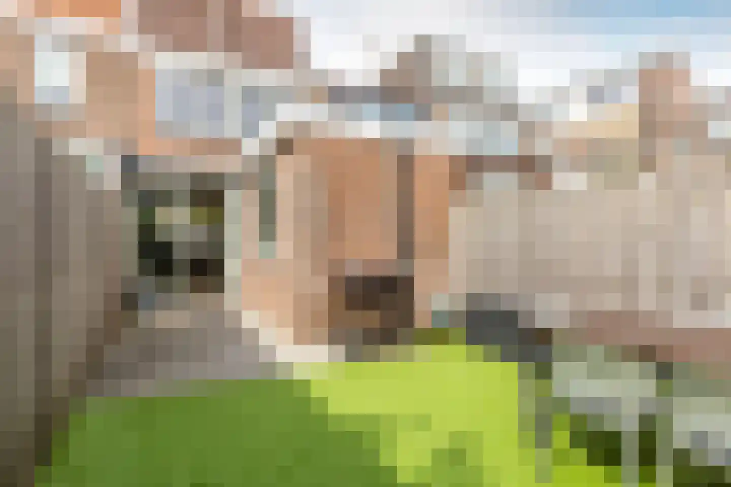 Waldeck Pyrmontstraat 7 Haarlem thumbnail 17