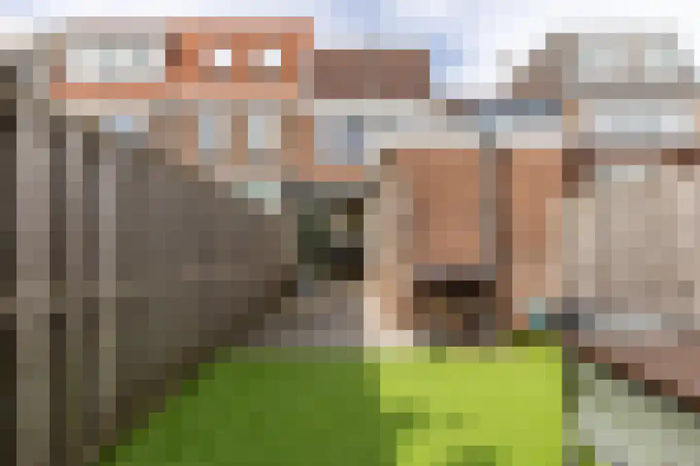 Waldeck Pyrmontstraat 7 Haarlem thumbnail 18