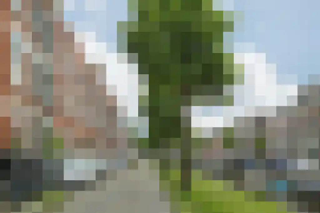 Waldeck Pyrmontstraat 7 Haarlem thumbnail 27