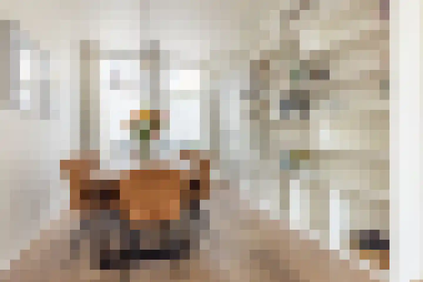 Waldeck Pyrmontstraat 7 Haarlem thumbnail 5