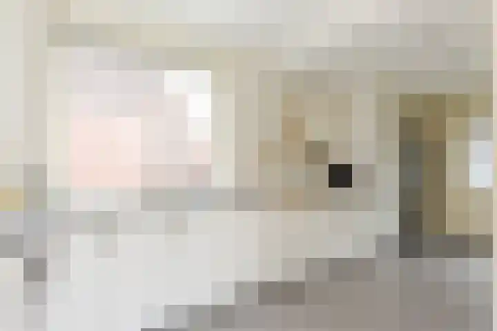 Waldeck Pyrmontstraat 7 Maasdijk thumbnail 10