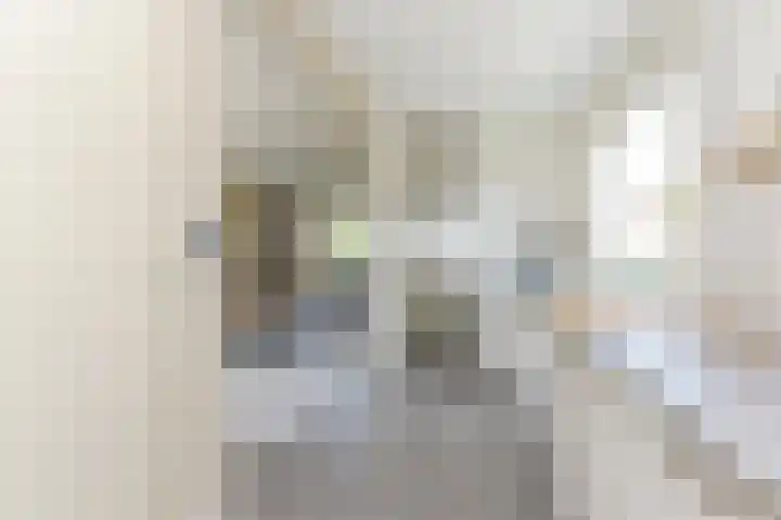 Waldeck Pyrmontstraat 7 Maasdijk thumbnail 11