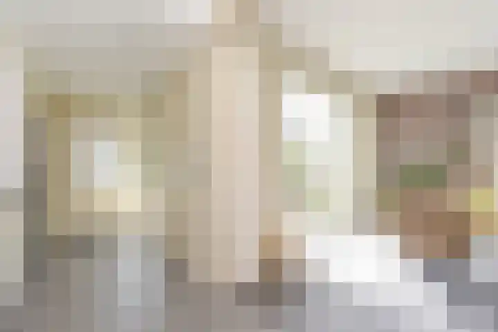 Waldeck Pyrmontstraat 7 Maasdijk thumbnail 12