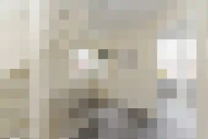 Waldeck Pyrmontstraat 7 Maasdijk thumbnail 13