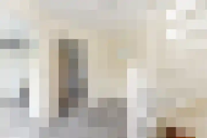 Waldeck Pyrmontstraat 7 Maasdijk thumbnail 14