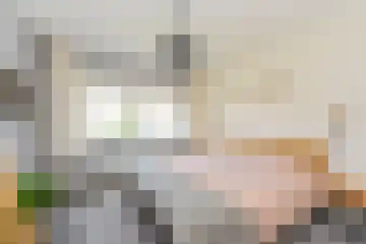 Waldeck Pyrmontstraat 7 Maasdijk thumbnail 16