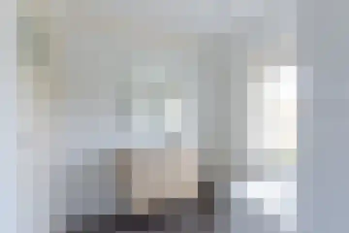 Waldeck Pyrmontstraat 7 Maasdijk thumbnail 19