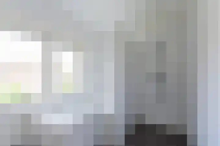 Waldeck Pyrmontstraat 7 Maasdijk thumbnail 20