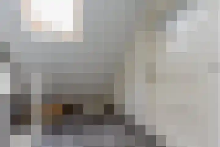 Waldeck Pyrmontstraat 7 Maasdijk thumbnail 21