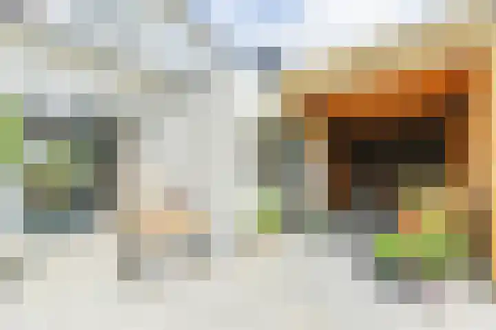 Waldeck Pyrmontstraat 7 Maasdijk thumbnail 24