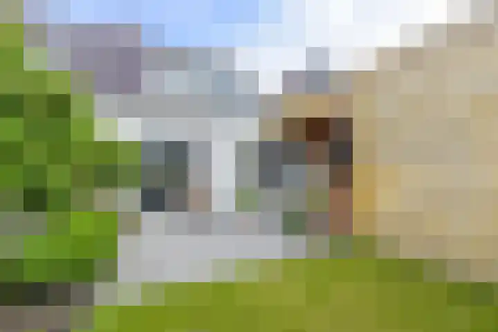 Waldeck Pyrmontstraat 7 Maasdijk thumbnail 26