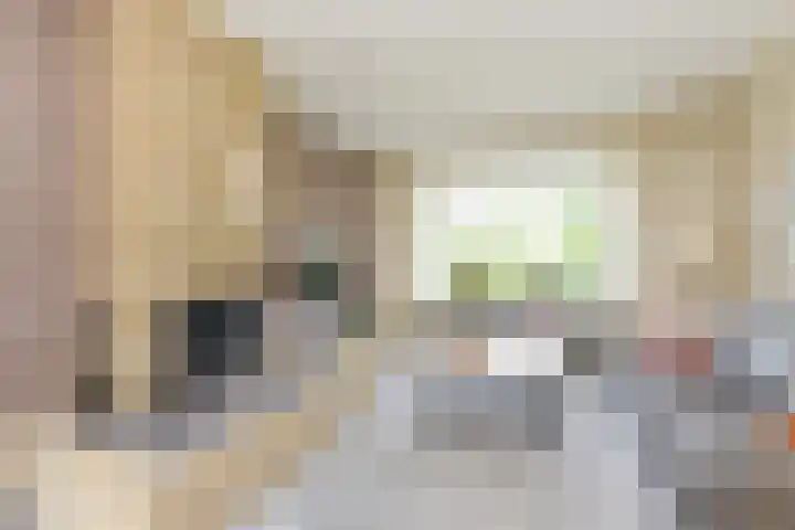 Waldeck Pyrmontstraat 7 Maasdijk thumbnail 7