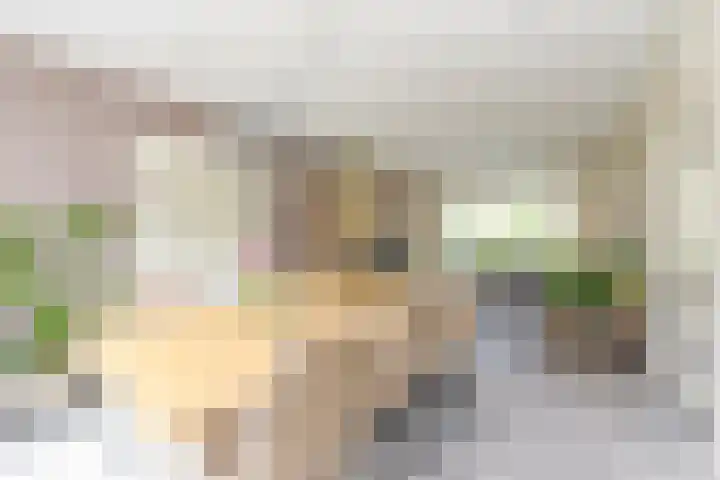 Waldeck Pyrmontstraat 7 Maasdijk thumbnail 9