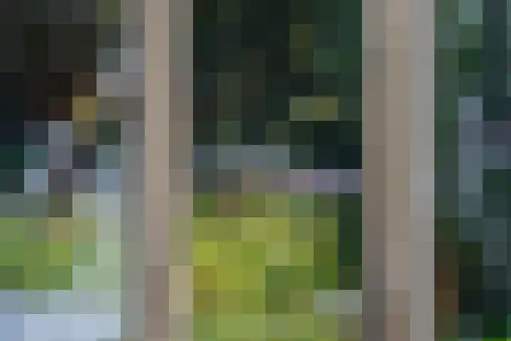 Waldecklaan 20 Bussum thumbnail 10