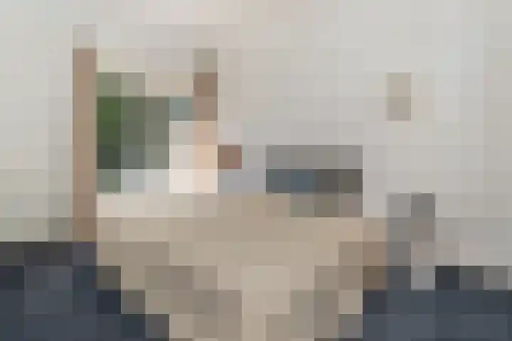 Waldecklaan 20 Bussum thumbnail 18