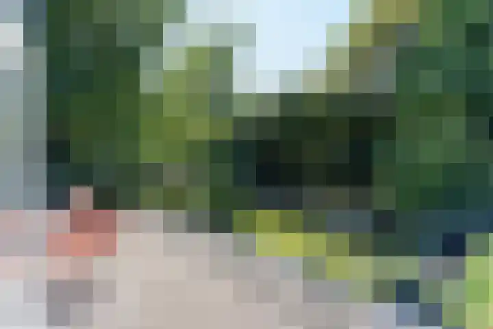 Waldecklaan 20 Bussum thumbnail 21