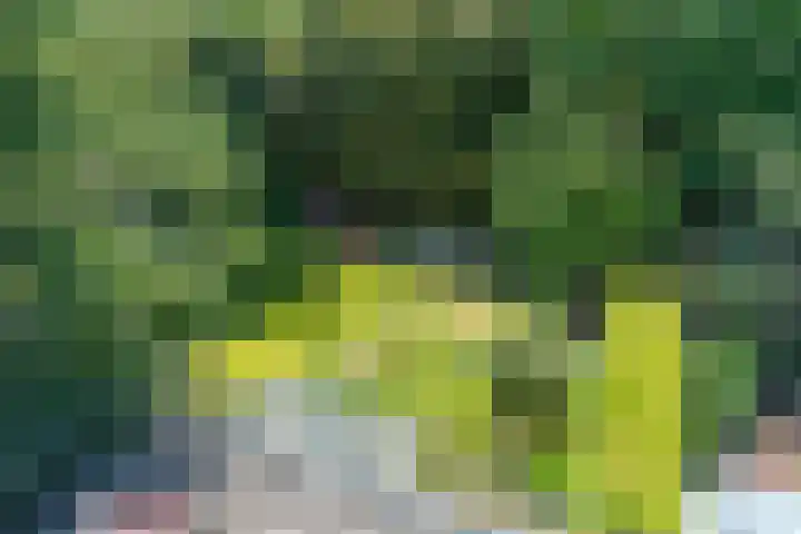 Waldecklaan 20 Bussum thumbnail 22