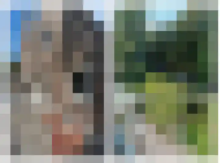Waldecklaan 20 Bussum thumbnail 24