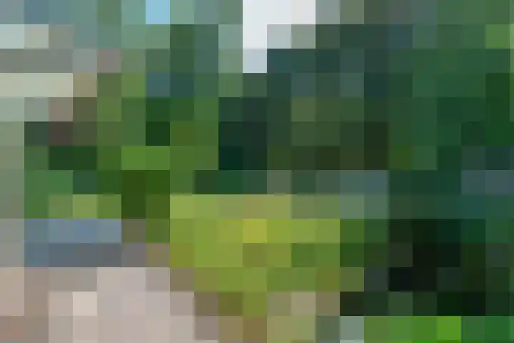 Waldecklaan 20 Bussum thumbnail 37