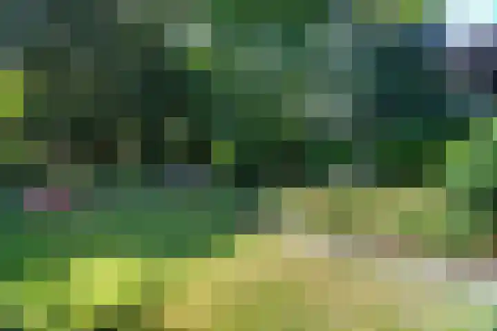 Waldecklaan 20 Bussum thumbnail 38